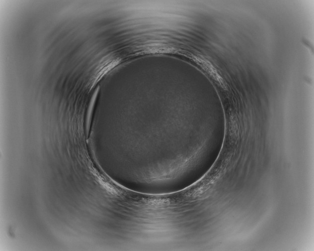 X0000098010889200804071325