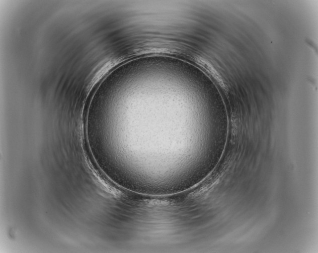 X0000098010890200804071325