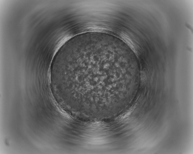 X0000098010891200804071325