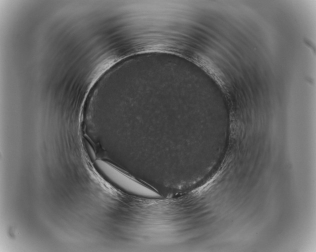 X0000098010892200804071325