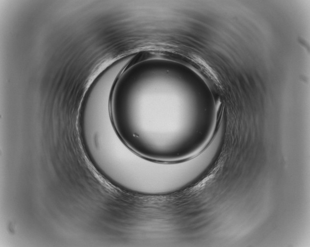 X0000098010893200804071325