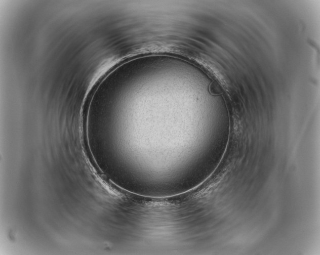 X0000098010894200804071325