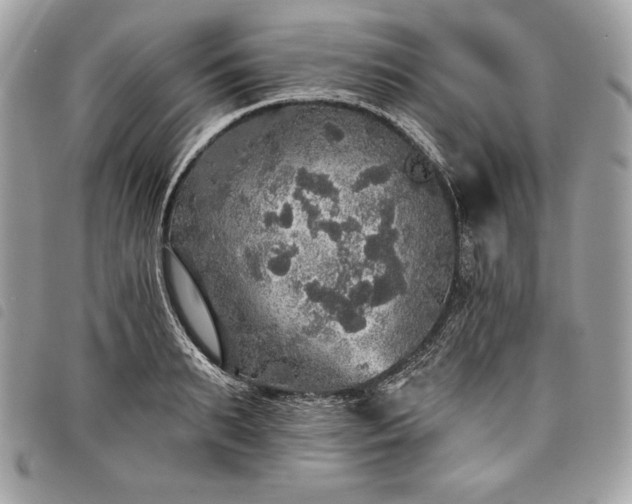 X0000098010895200804071325