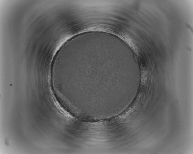 X0000098010896200804071325