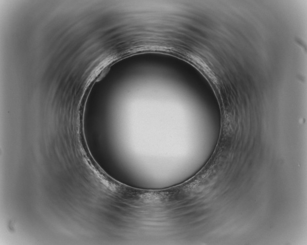 X0000098010898200804071325