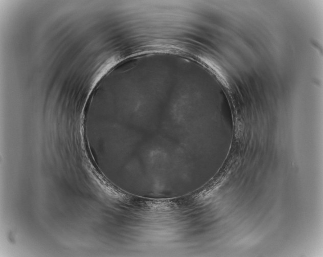 X0000098010899200804071325