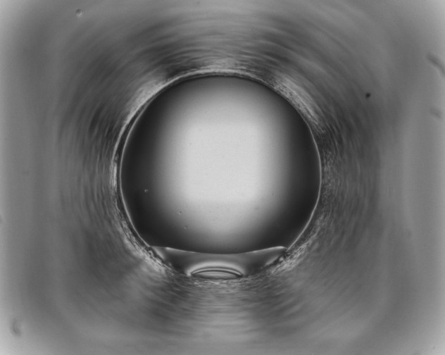 X0000098010900200804071325