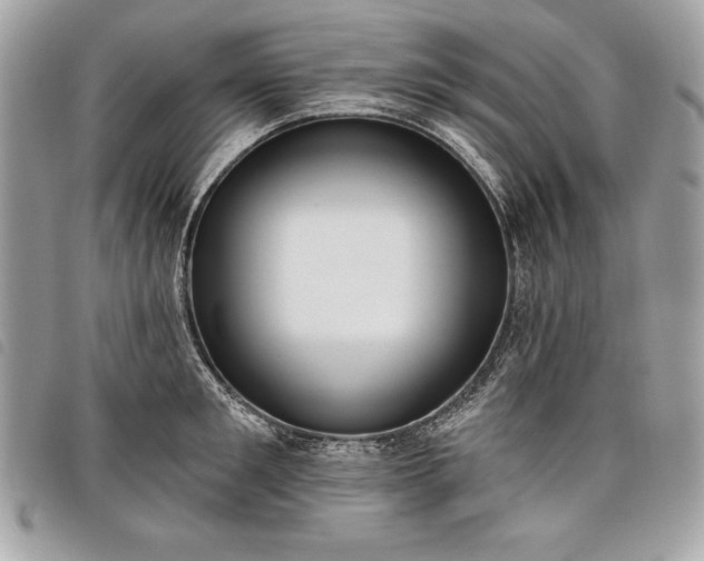 X0000098010901200804071325