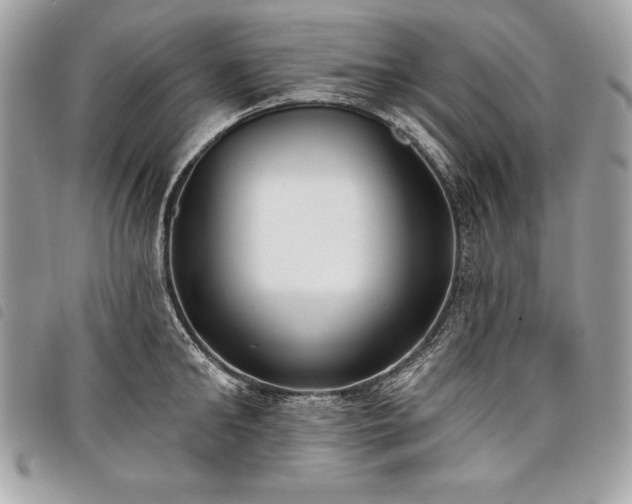 X0000098010902200804071325