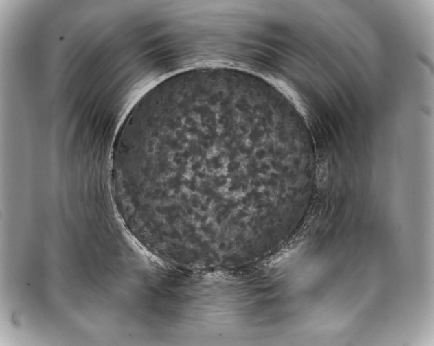 X0000098010903200804071325