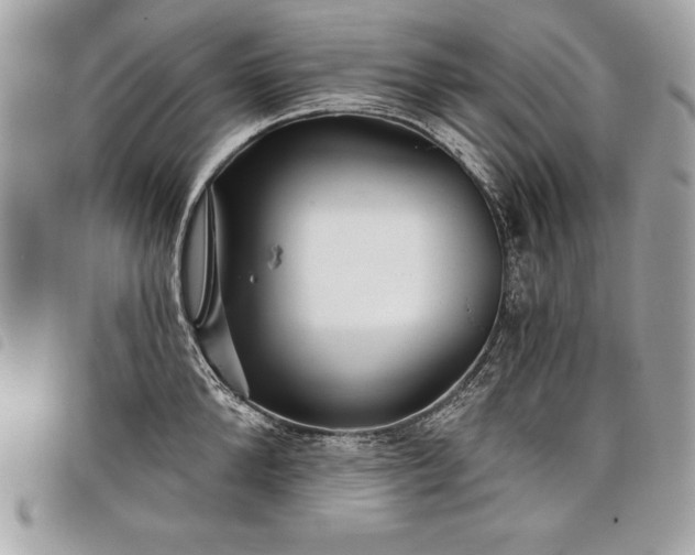 X0000098010904200804071325