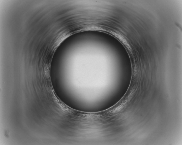 X0000098010905200804071325