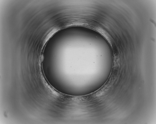 X0000098010906200804071325