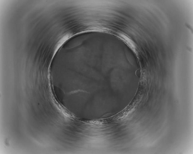 X0000098010907200804071325