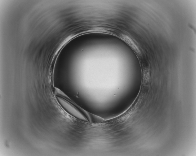 X0000098010908200804071325