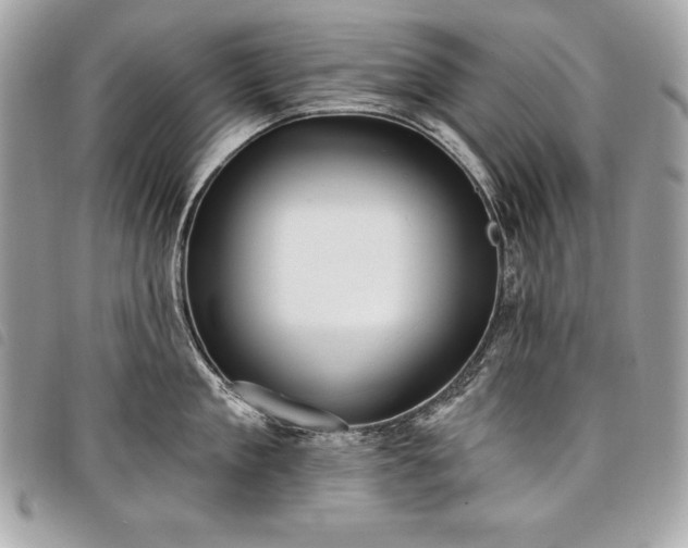 X0000098010909200804071325