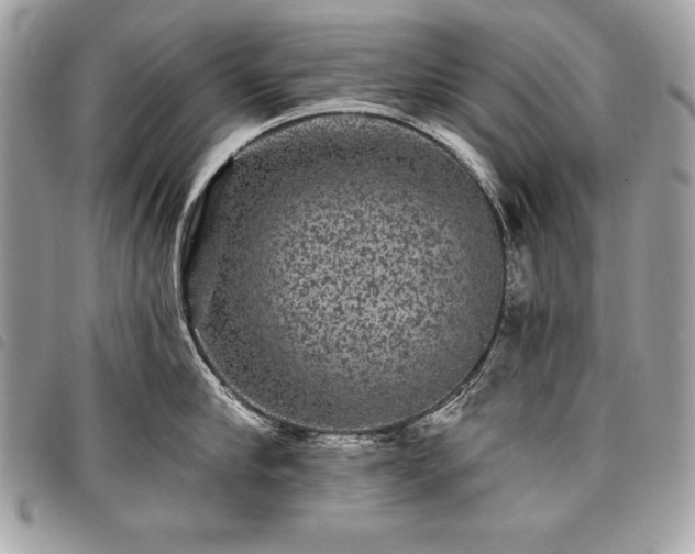 X0000098010910200804071325