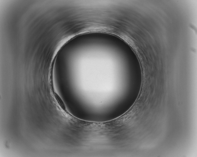 X0000098010912200804071324