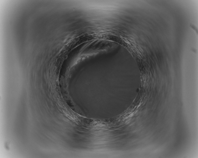 X0000098010913200804071324