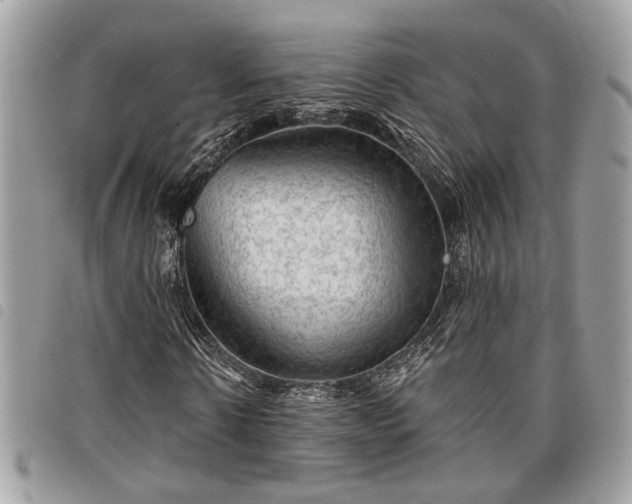 X0000098010914200804071324