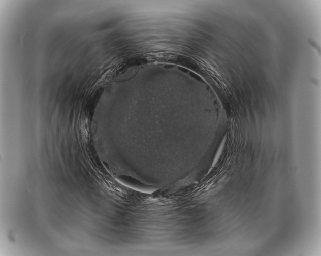 X0000098010915200804071324