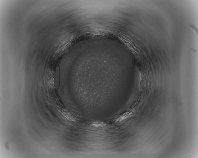 X0000098010916200804071324