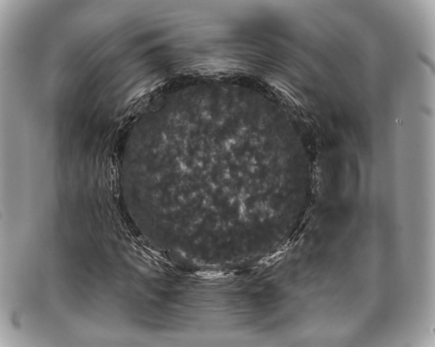 X0000098010917200804071324