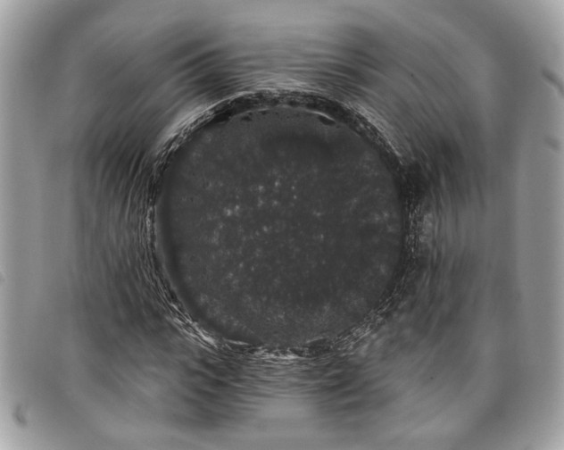 X0000098010919200804071324