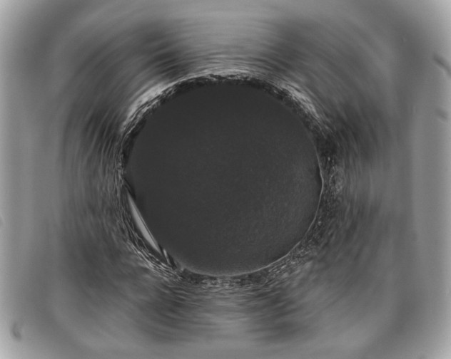 X0000098010920200804071324