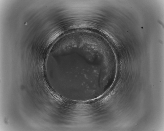 X0000098010921200804071324