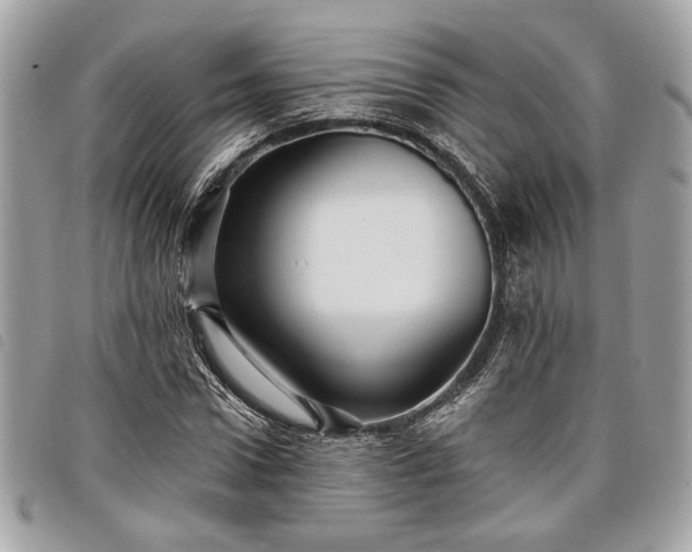 X0000098010922200804071324