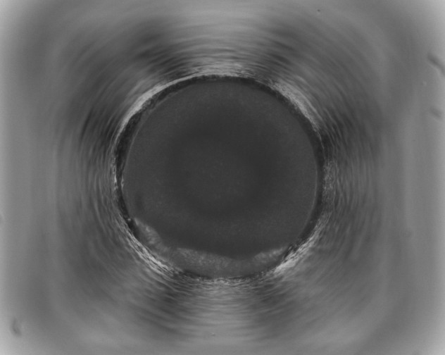 X0000098010923200804071324