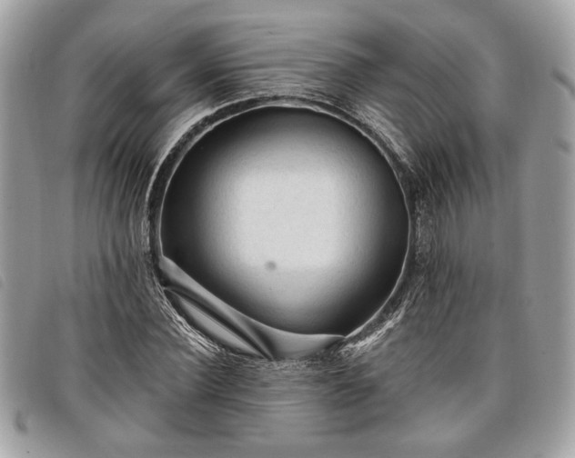 X0000098010924200804071324