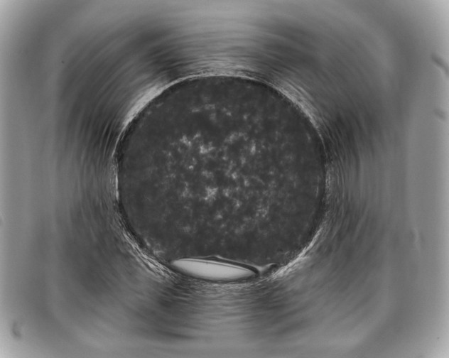 X0000098010925200804071324