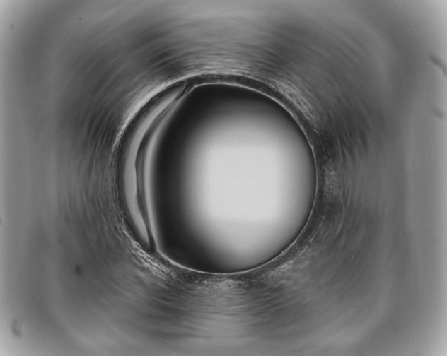 X0000098010926200804071324