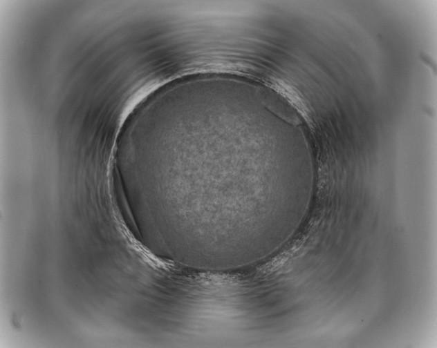 X0000098010928200804071324