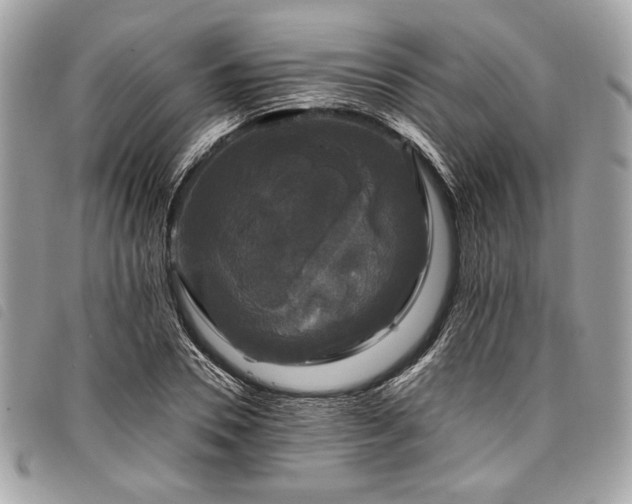 X0000098010930200804071324