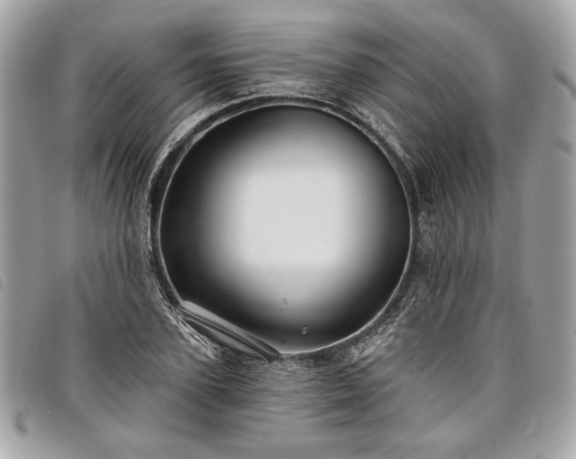 X0000098010931200804071324