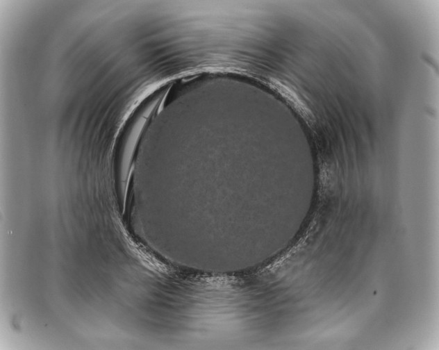 X0000098010934200804071324