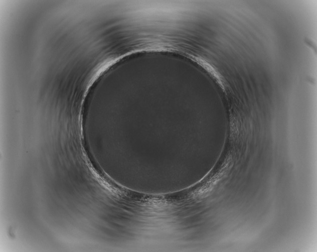 X0000098010935200804071324