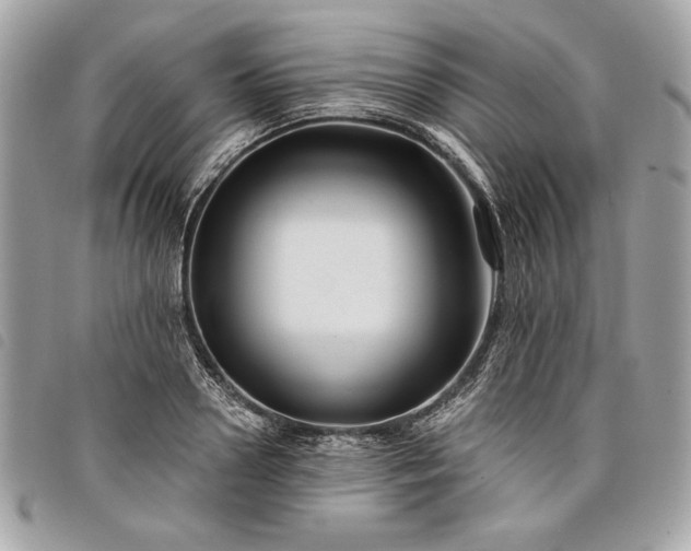 X0000098010938200804071324