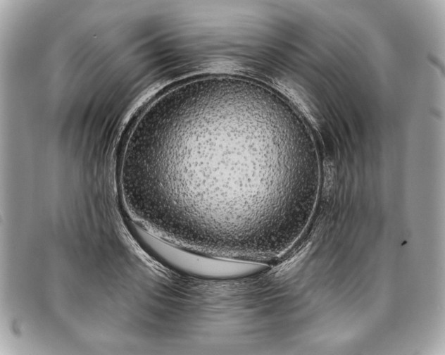 X0000098010939200804071324