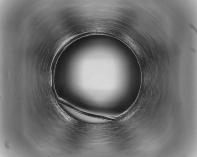 X0000098010940200804071324