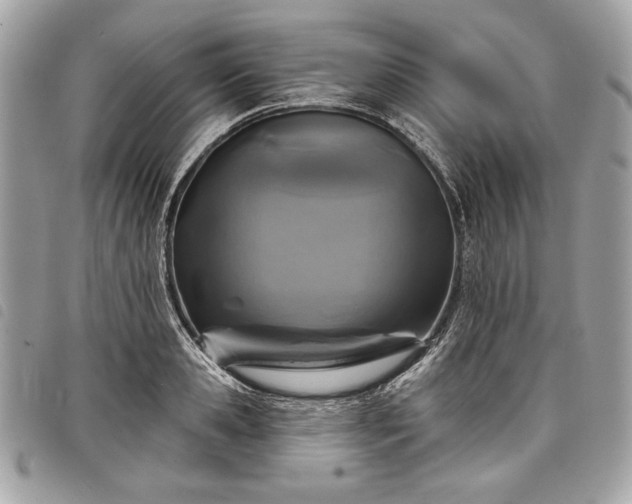 X0000098010941200804071324