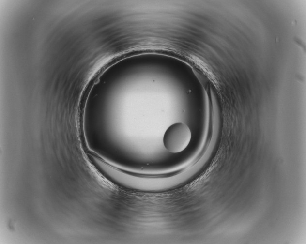 X0000098010942200804071324