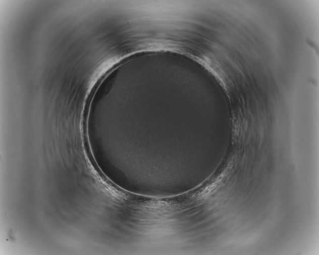 X0000098010943200804071324