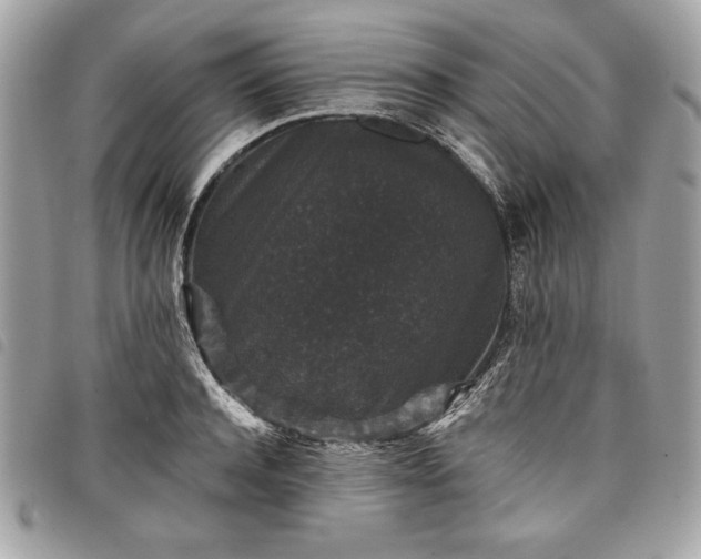 X0000098010944200804071324