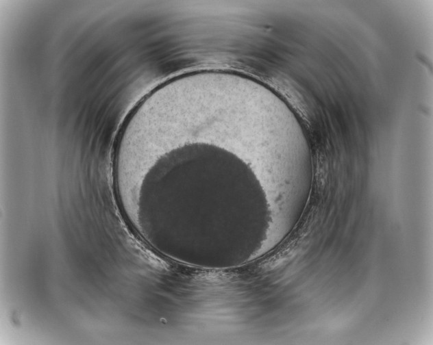 X0000098010950200804071324