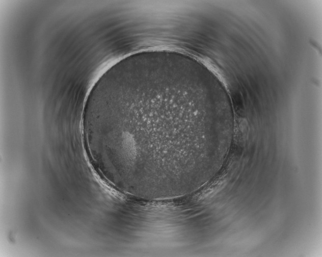 X0000098010951200804071324