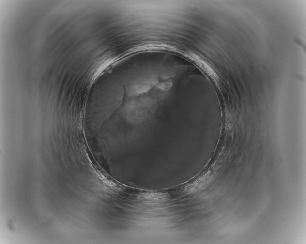 X0000098010953200804071324